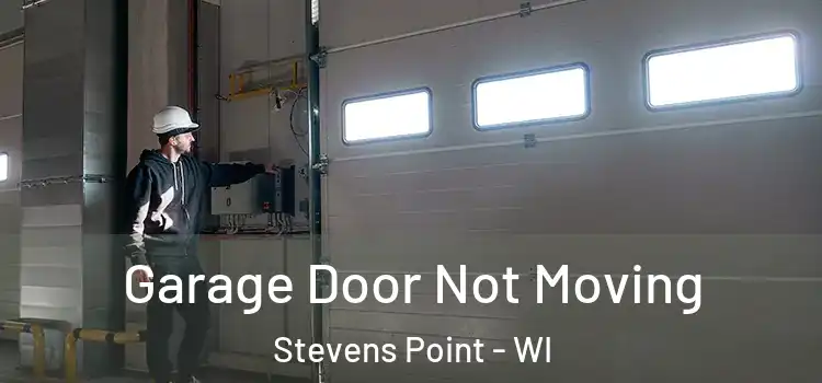  Garage Door Not Moving Stevens Point - WI