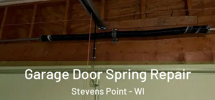  Garage Door Spring Repair Stevens Point - WI