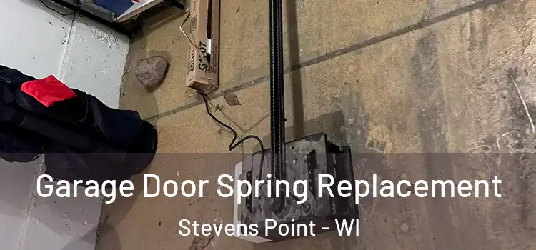  Garage Door Spring Replacement Stevens Point - WI