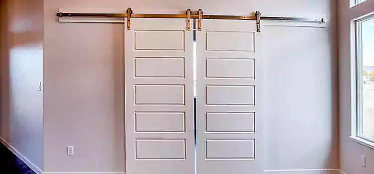 Glass Barn Door with Installation Hardware Kit Stevens Point
