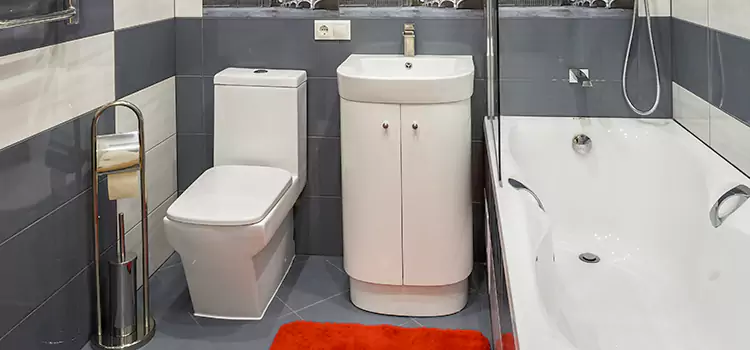 Hansgrohe Shaving Mirror Stevens Point