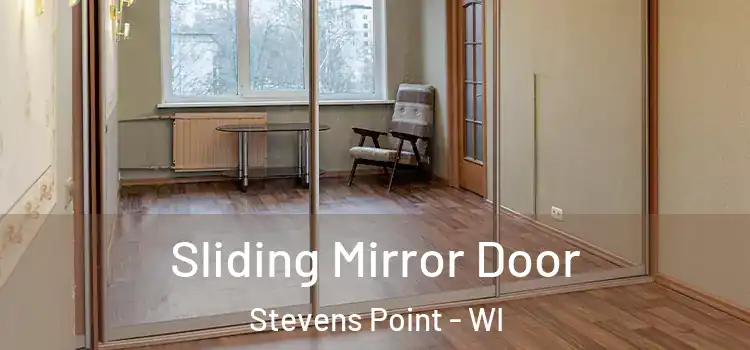  Sliding Mirror Door Stevens Point - WI